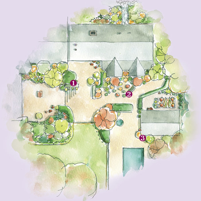 aerial illustration of the garden design