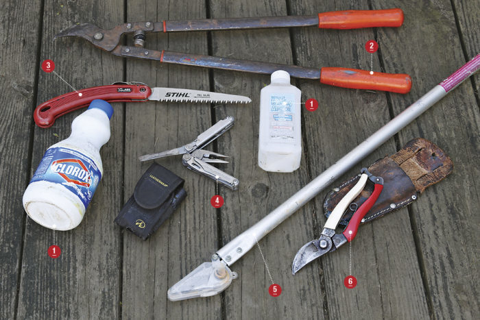 pruning tools