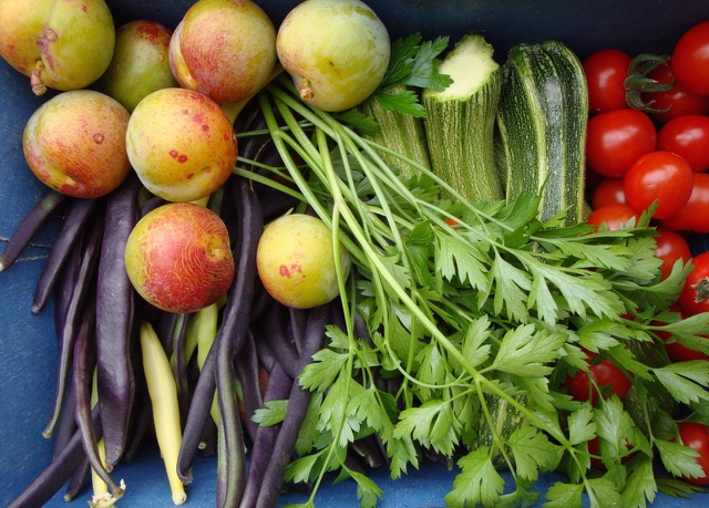 vegetables in a bin