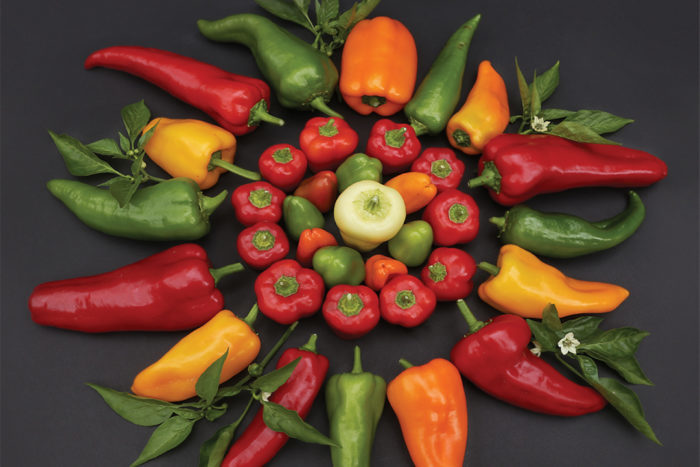 Colorful arrangement of sweet peppers