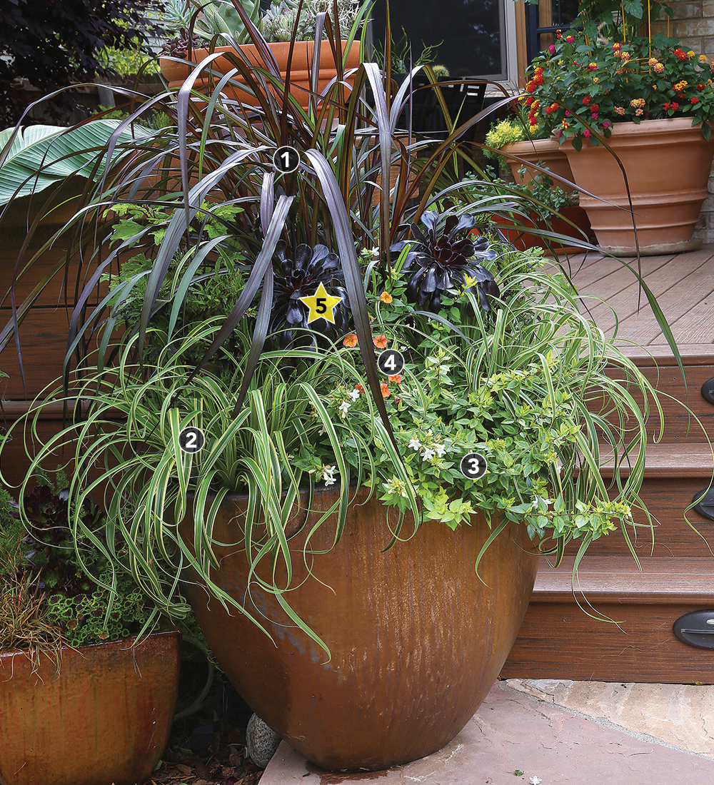 The Secret to Great Garden Containers: Thrillers, Fillers, and