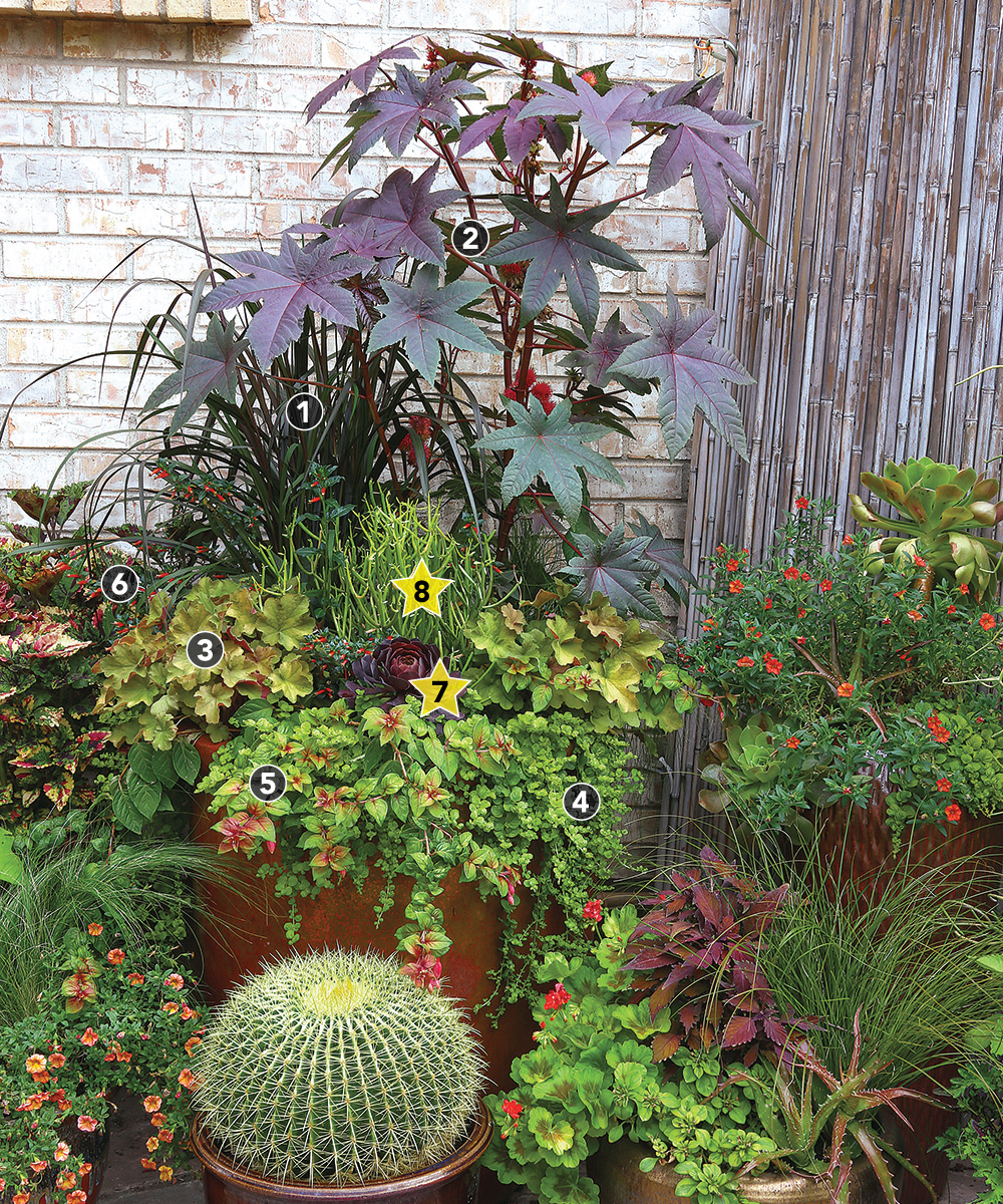 The Secret to Great Garden Containers: Thrillers, Fillers, and