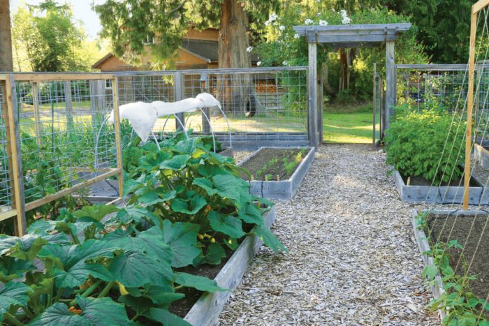 vegetable garden fence deer