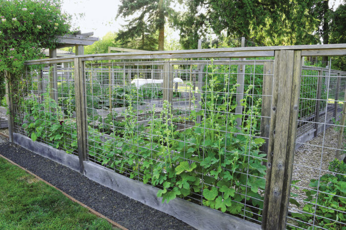 fenced vegetable gardens