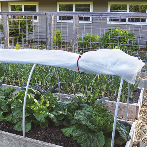 A simple system of bent pipes transforms the interior raised beds into mini-greenhouses