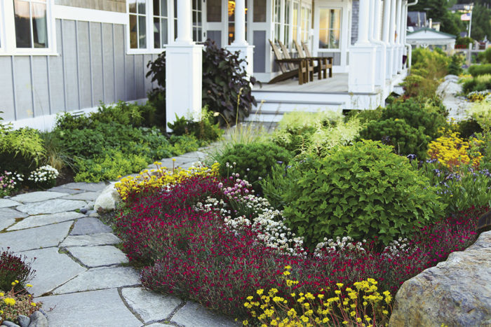 Groupings of red dianthus, white thrift, and yellow sedum in garden beds.