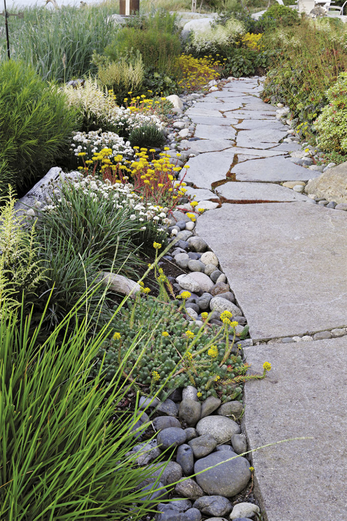 Smooth, rounded river rocks help marry the soft, lush ground covers with the angular edges of the flagstone walkway.