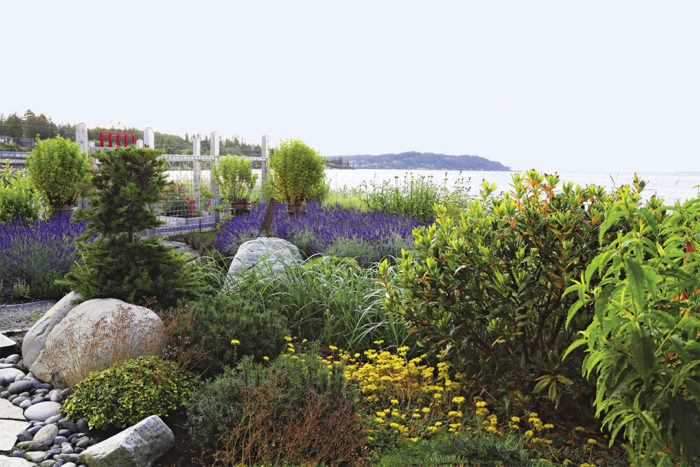 looking out to sea from the low growing garden with boulders