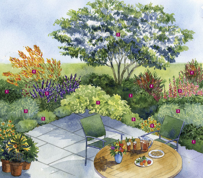 Illustration of a garden patio with seating and various types of plants, shrubs and trees