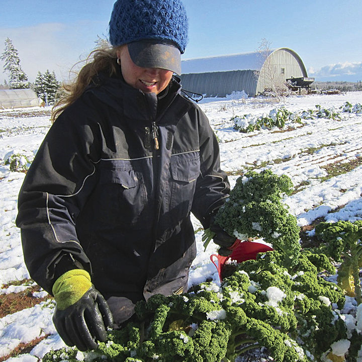 Woman tending to crops in the snow