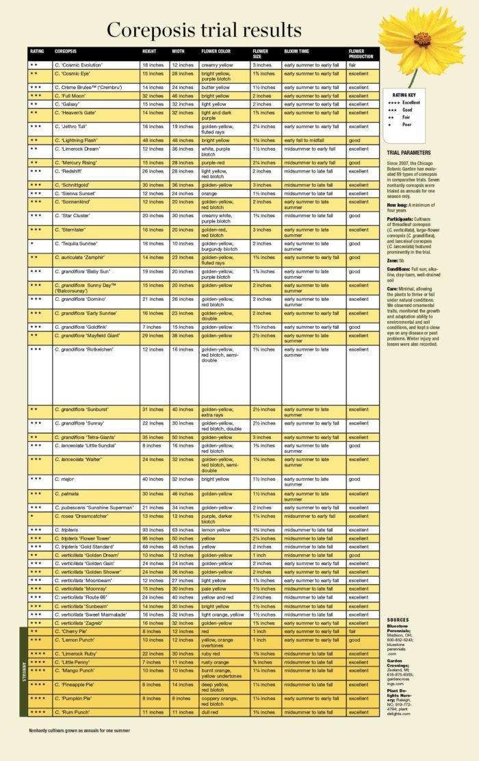 Coreopsis trial results