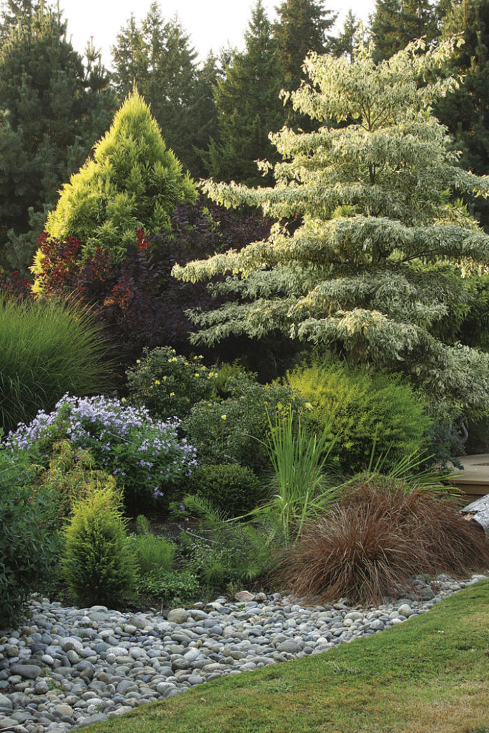 plants and tress