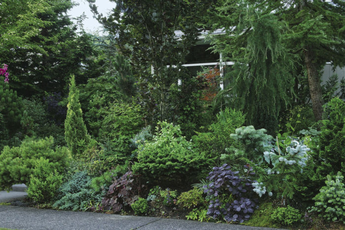 Columnar conifers scattered throughout the beds serve as focal points