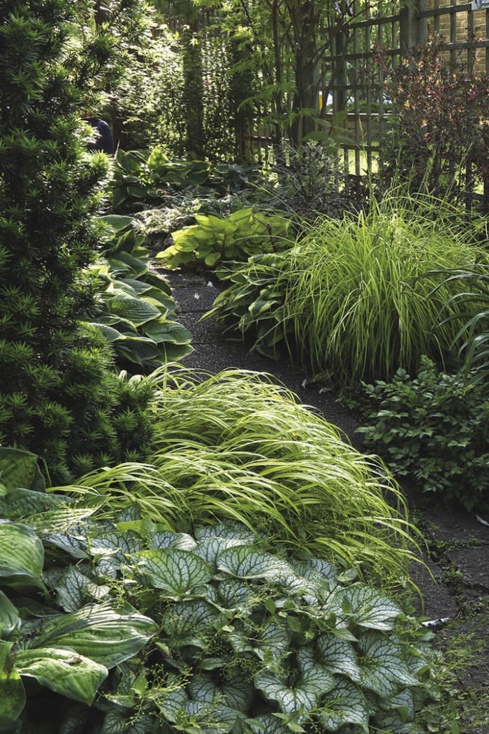 Textured foliage, grasses and greens