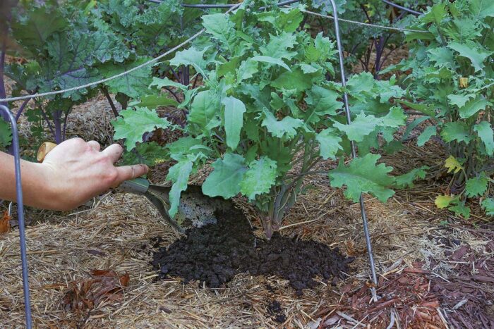 applying soil to planting bed