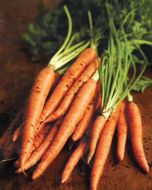 ‘Scarlet Nantes’ carrot produces perfect spears, even in clay soil