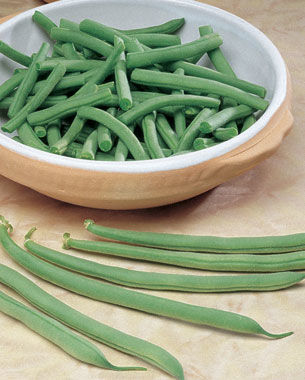 ‘Fin de Bagnol’ bush bean