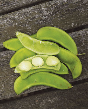 ‘Windsor’ fava bean