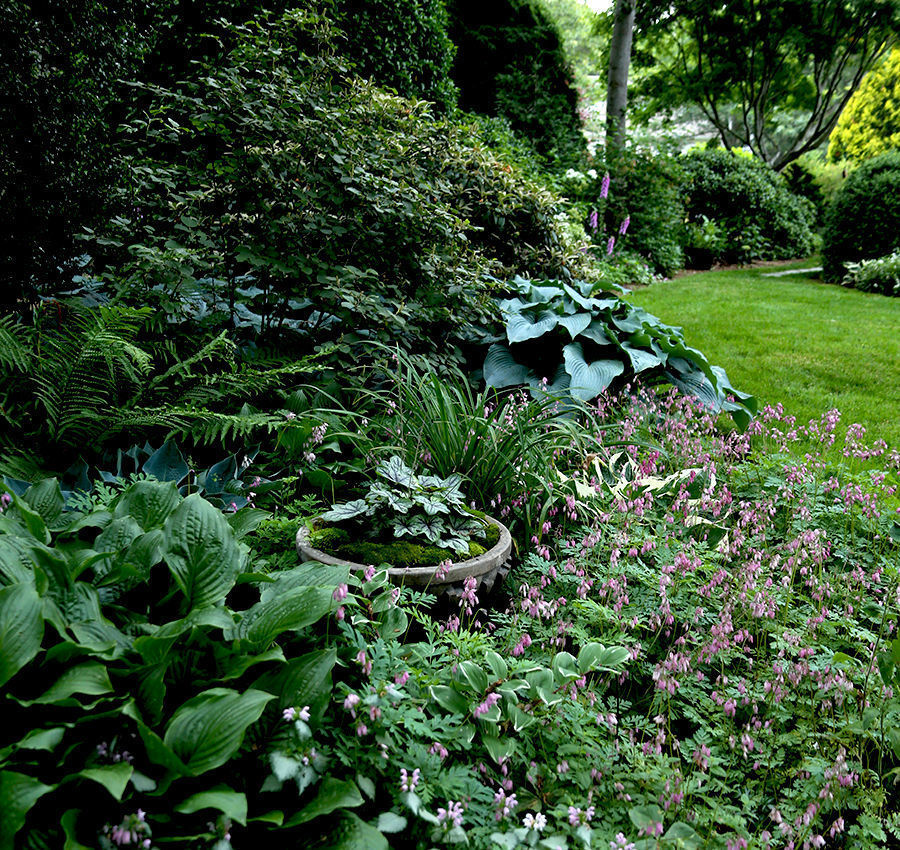 larger plants and trees enclose the small garden and create an illusion of depth and expansiveness