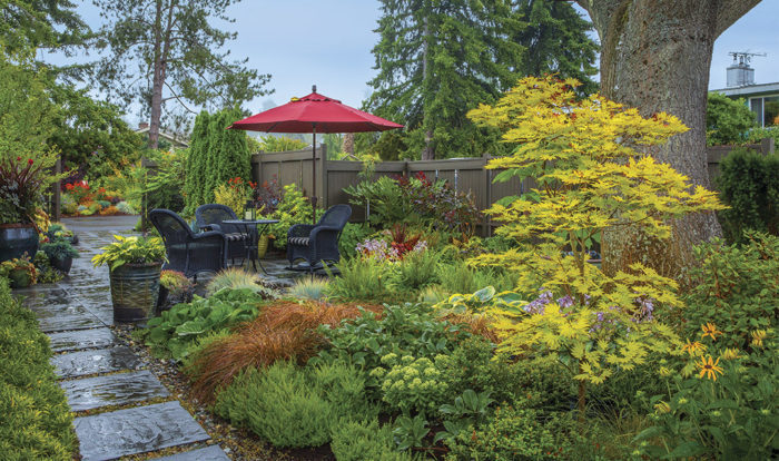 View of the finished smaller garden with lush plants, red umbrella, table and chairs