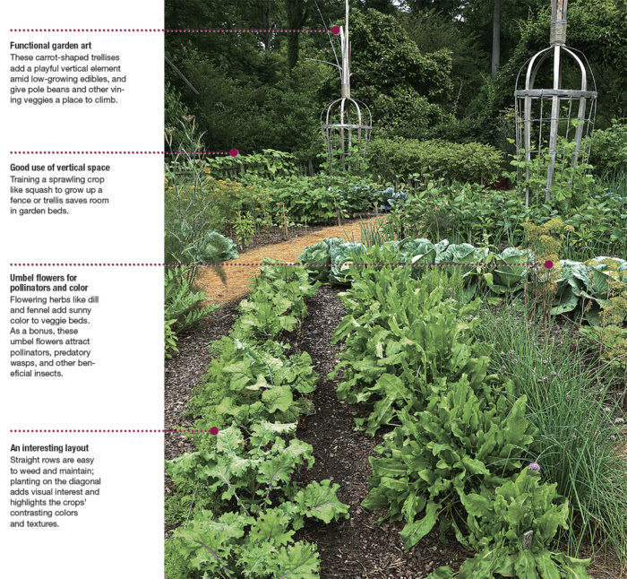 cool vegetable garden designs