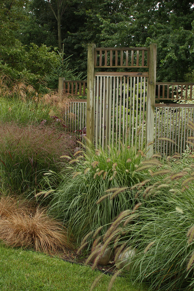 A Garden of Grasses - FineGardening