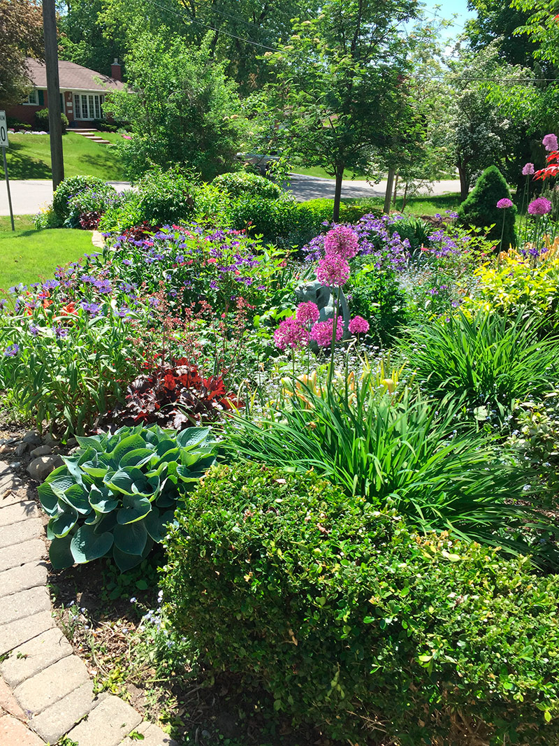 It’s not too early to think about late spring - FineGardening