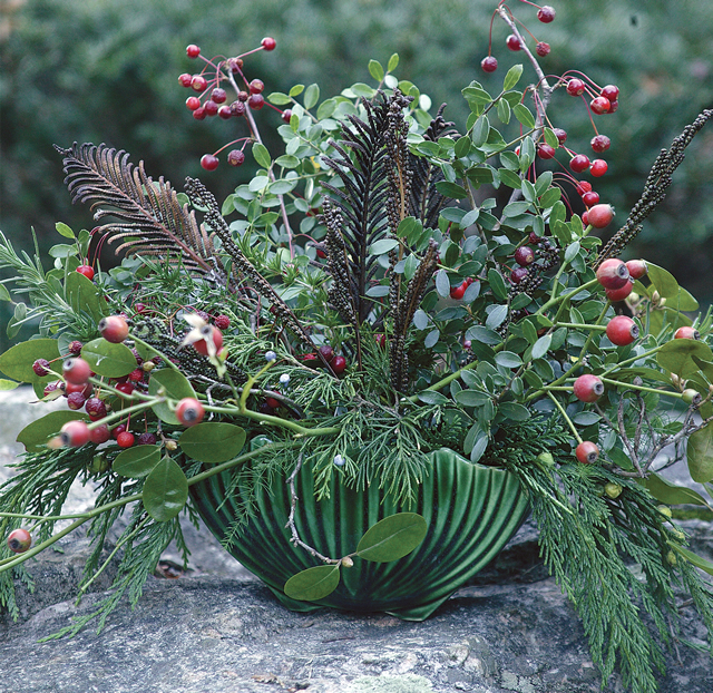 Winter Container Arrangements From Your Sleeping Garden - FineGardening