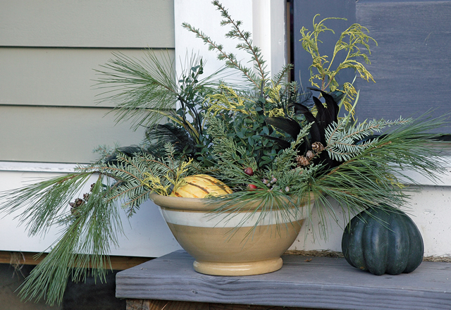 Winter Greenery Arrangements