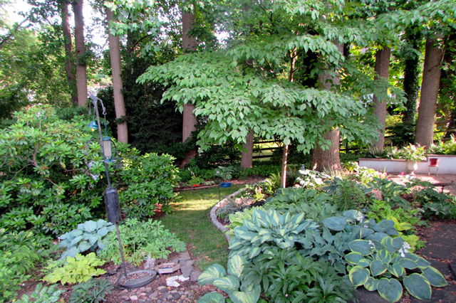 Pathway with multiple perennials, bird feeder, trees