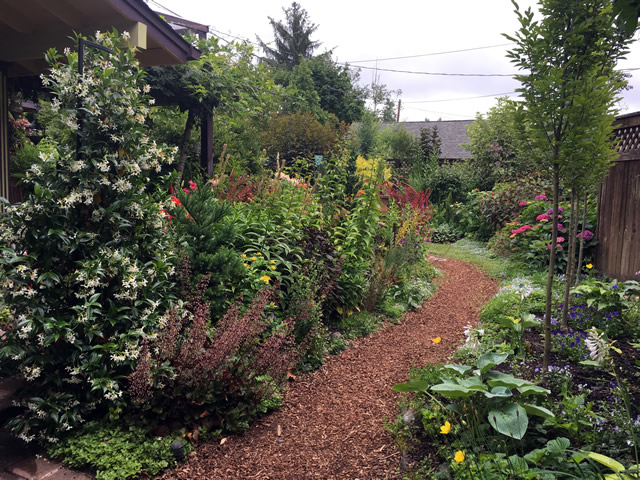 A Space Within a Space - Fine Gardening