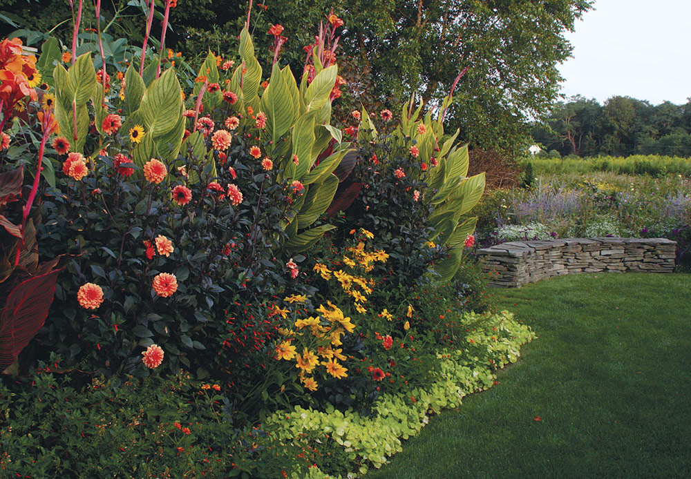 Bright blooms blaze against a backdrop of rich, dark leaves, and masses of boldly patterned foliage lend energy, color, and texture.