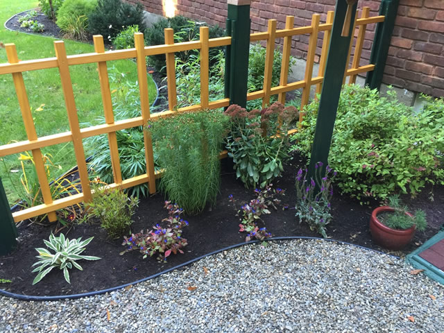 see-through wooden fence with plants in mulch in front next to a winding stone pathway