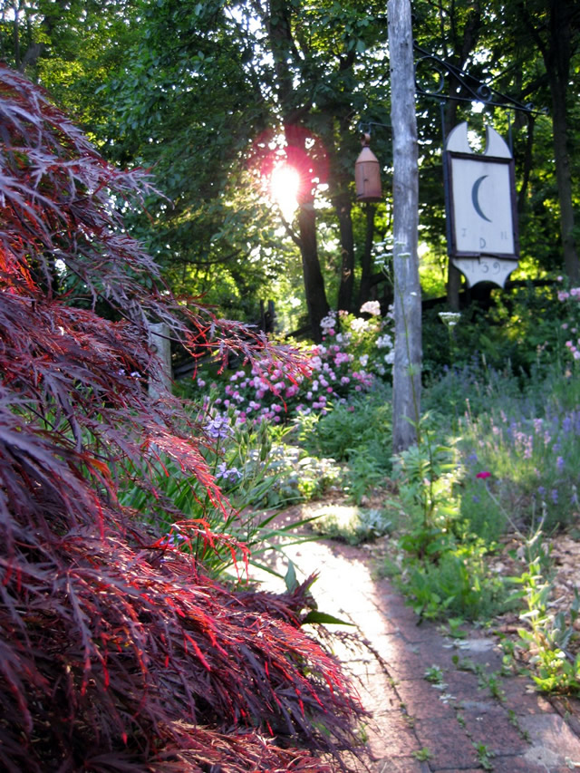 sunlight shining through the trees on a brick path with a pole, sign, birdhouse, various plants