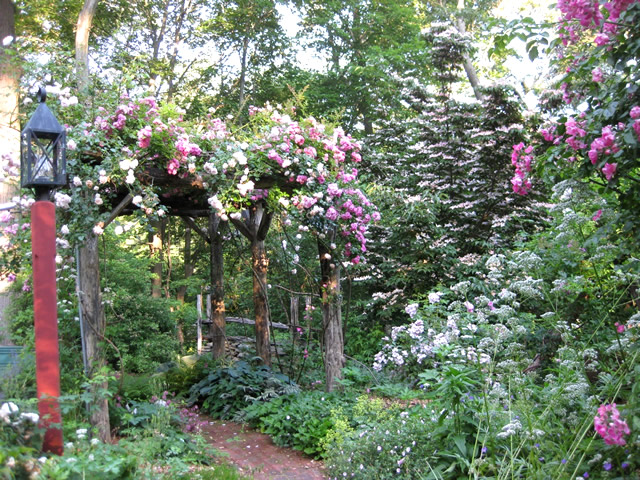 lamp post to the left of the rose covered arbor, other colorful plants to the right