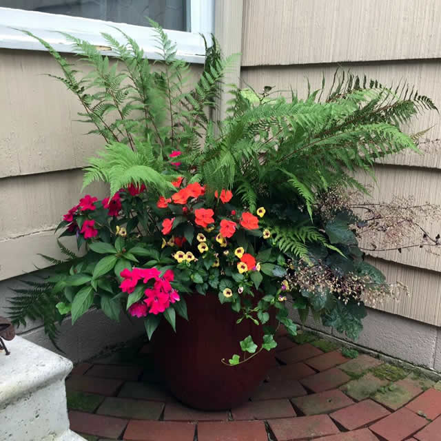 container with funky foliage and bright flowers