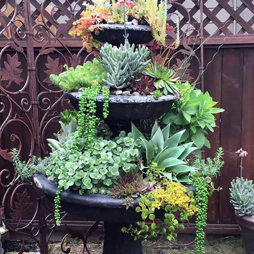 Beyond the Container: Ken and Paulette - Fine Gardening