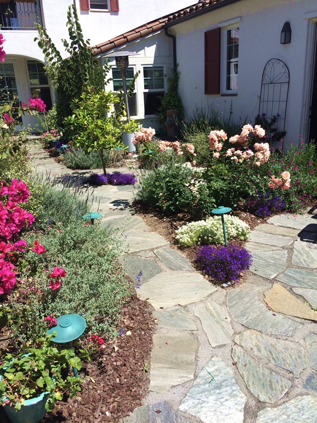 Courtyard Makeover - FineGardening