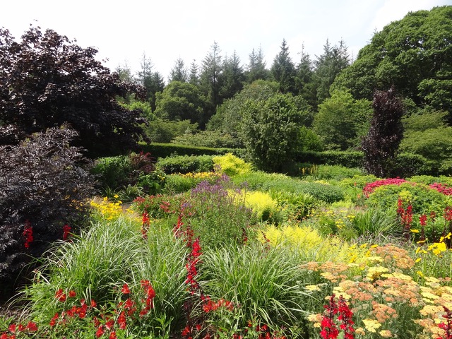 beautiful red and yellow and green foliage spread out through trees