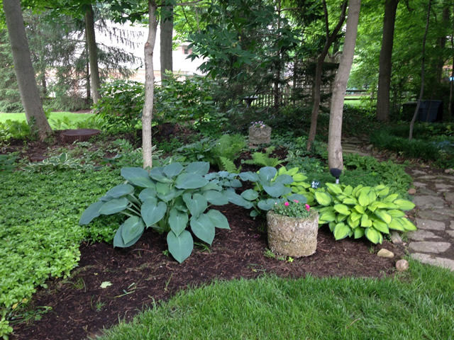 Calling All Hosta Lovers! - Fine Gardening