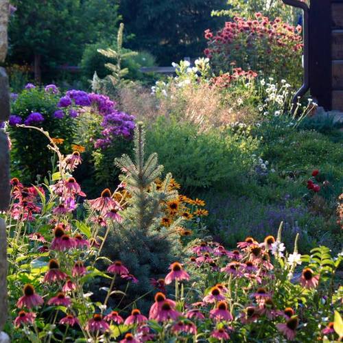 Gardeners are Wonderful People - Fine Gardening