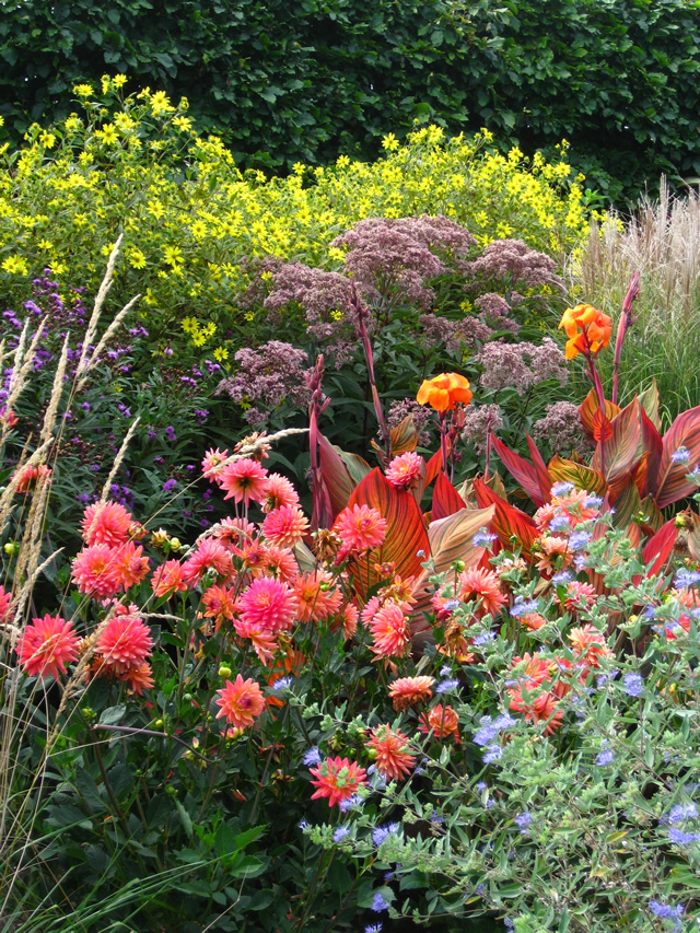 The Lloyd Border at White Flower Farm - FineGardening