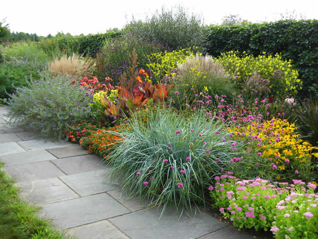 Plants and Flowers from White Flower Farm