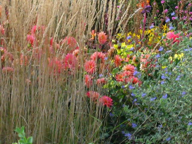 Close Up of White Flower Farm