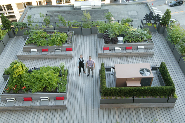 Outtakes from a Rooftop Garden - FineGardening