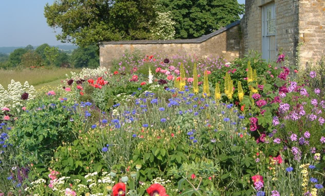 beautiful flowers in a garden Photo/Illustration: James Alexander-Sinclair