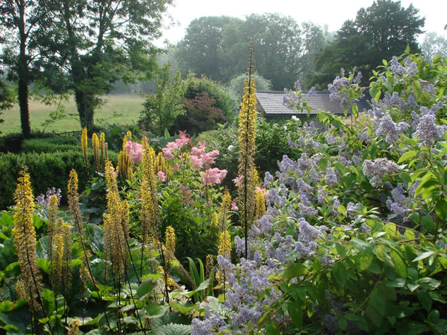 purple and yellow flowers in a garden Photo/Illustration: James Alexander-Sinclair