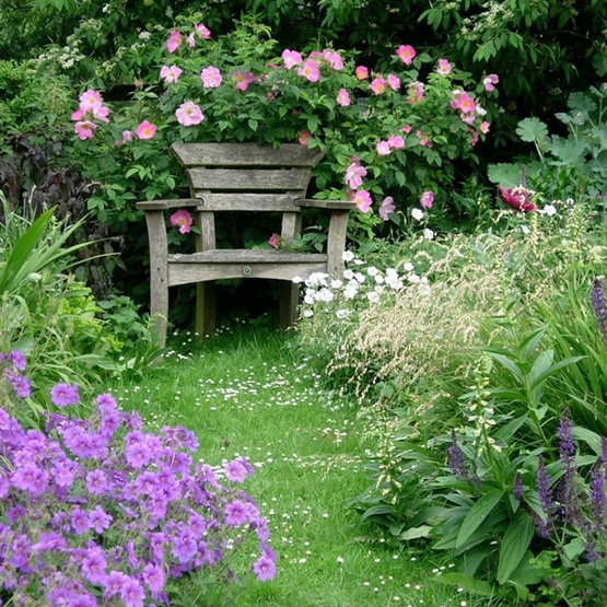 little garden / seating area