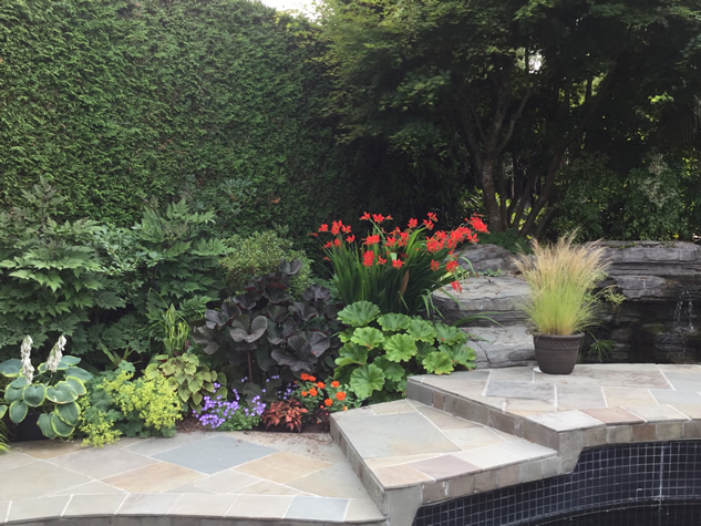 stone steps by a pond bordered by colorful plantings and a container plant