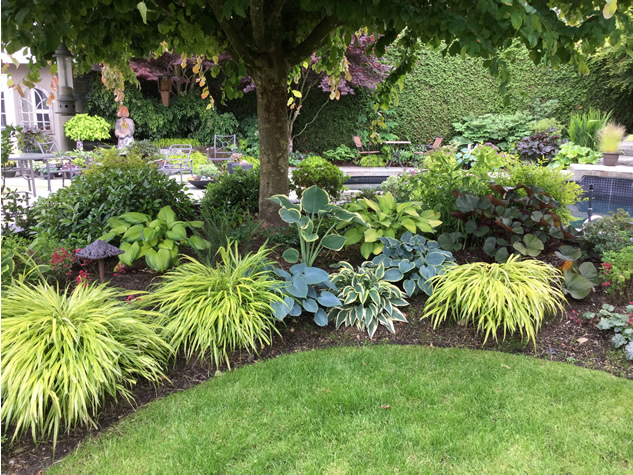 tree surrounded by various plantings along a lawn edge